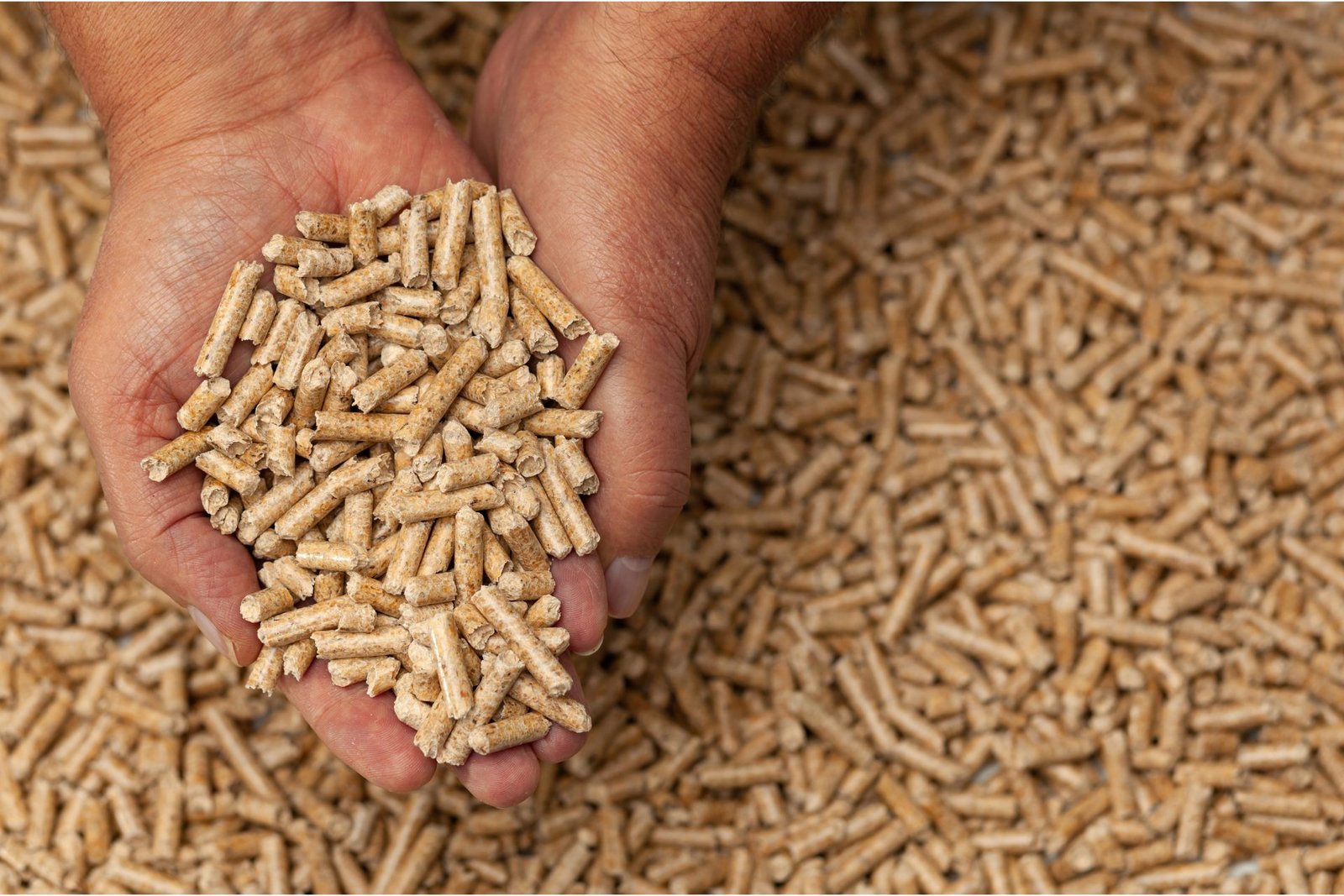 Sustainable Biomass Plant